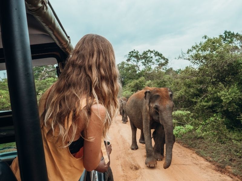 African Safari, Travel, Women, Female, Elephant, Luxury Travel