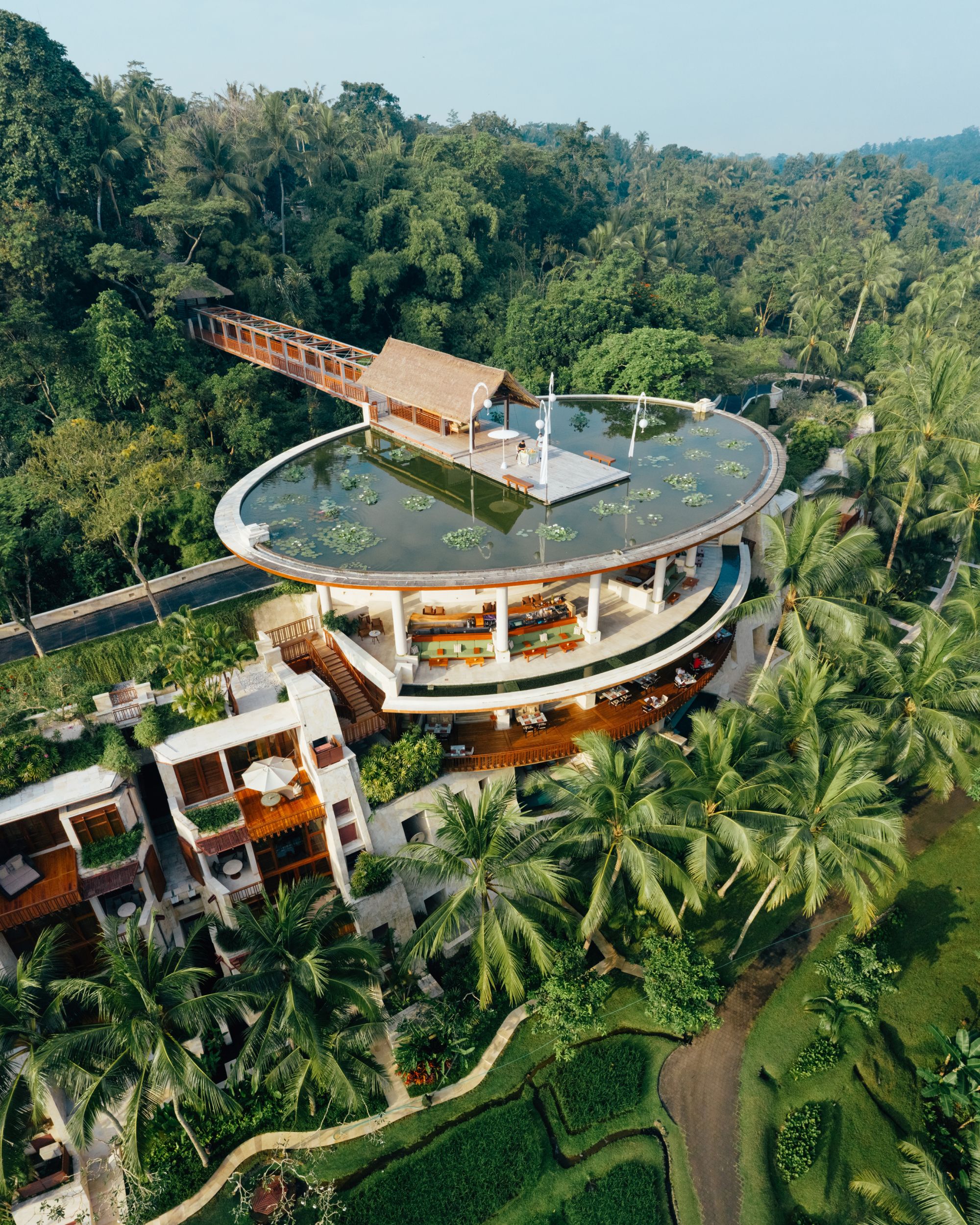 Rooftop infinity lotus pond floating above tropical forest canopy at Four Seasons Resort Bali at Sayan Ubud